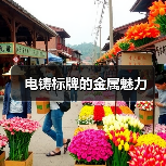 电铸标牌的金属魅力（图4）