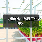 《镍电铸:雕琢工业之美》(图4) 《镍电铸:雕琢工业之美》(图4)