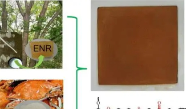 【绿色升级】我司生物基复合材料标牌量产，助力客户实现 “双碳” 目标(图2)