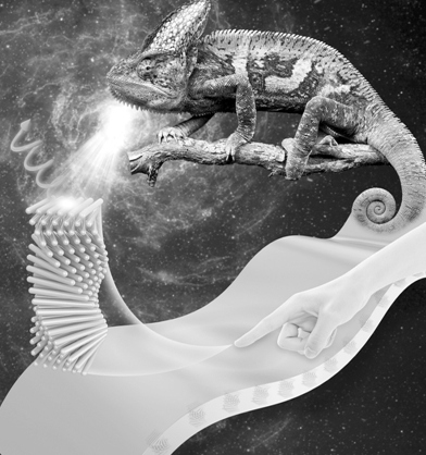 矽能新材料推出 “光影魔法” 智能薄膜，重新定义标识照明(图1)